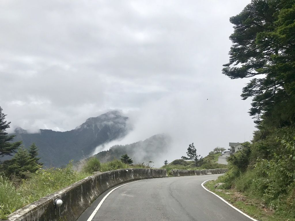 台灣百岳登山-入門的百岳合歡山東峰,讓你漫步在雲海中！【丁小羽登山篇】