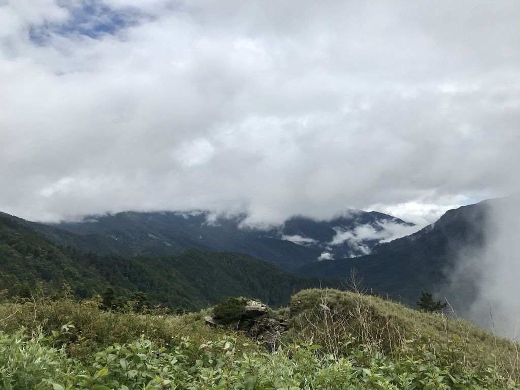 台灣百岳登山-入門的百岳合歡山東峰,讓你漫步在雲海中！【丁小羽登山篇】