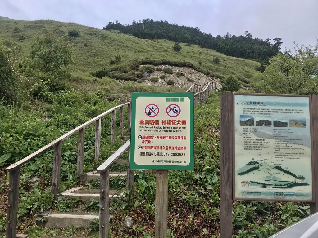 台灣百岳登山-入門的百岳合歡山東峰,讓你漫步在雲海中！【丁小羽登山篇】