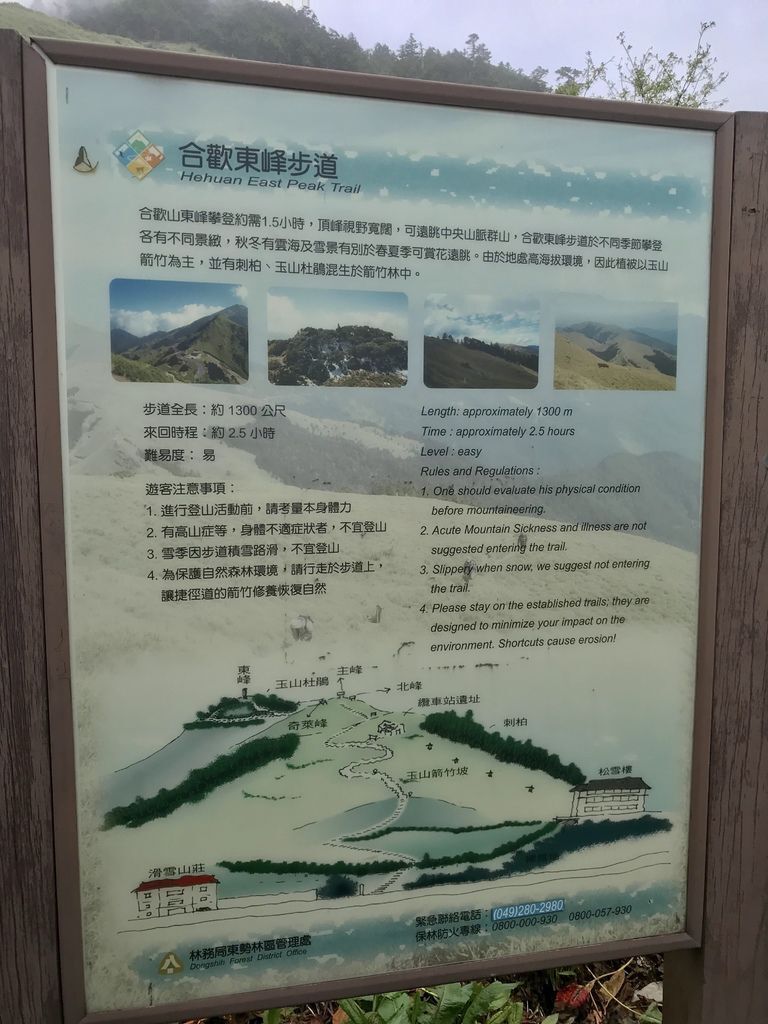 台灣百岳登山-入門的百岳合歡山東峰,讓你漫步在雲海中！【丁小羽登山篇】