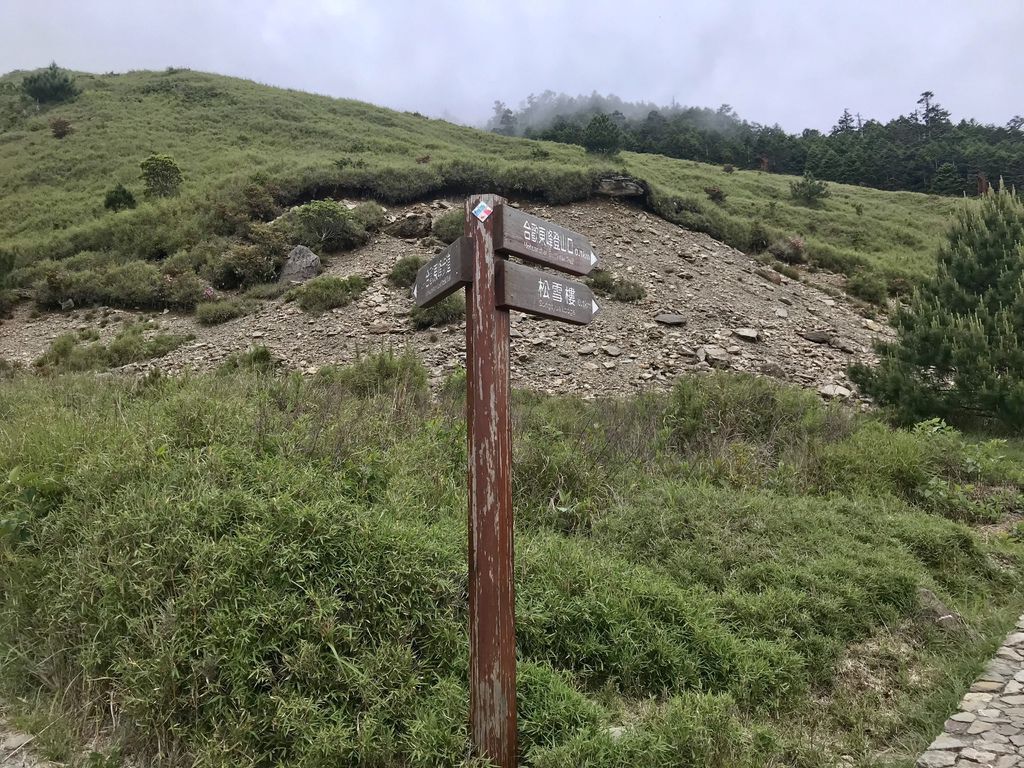 台灣百岳登山-入門的百岳合歡山東峰,讓你漫步在雲海中！【丁小羽登山篇】