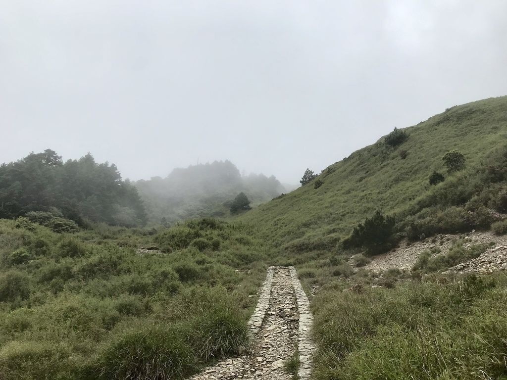 台灣百岳登山-入門的百岳合歡山東峰,讓你漫步在雲海中！【丁小羽登山篇】