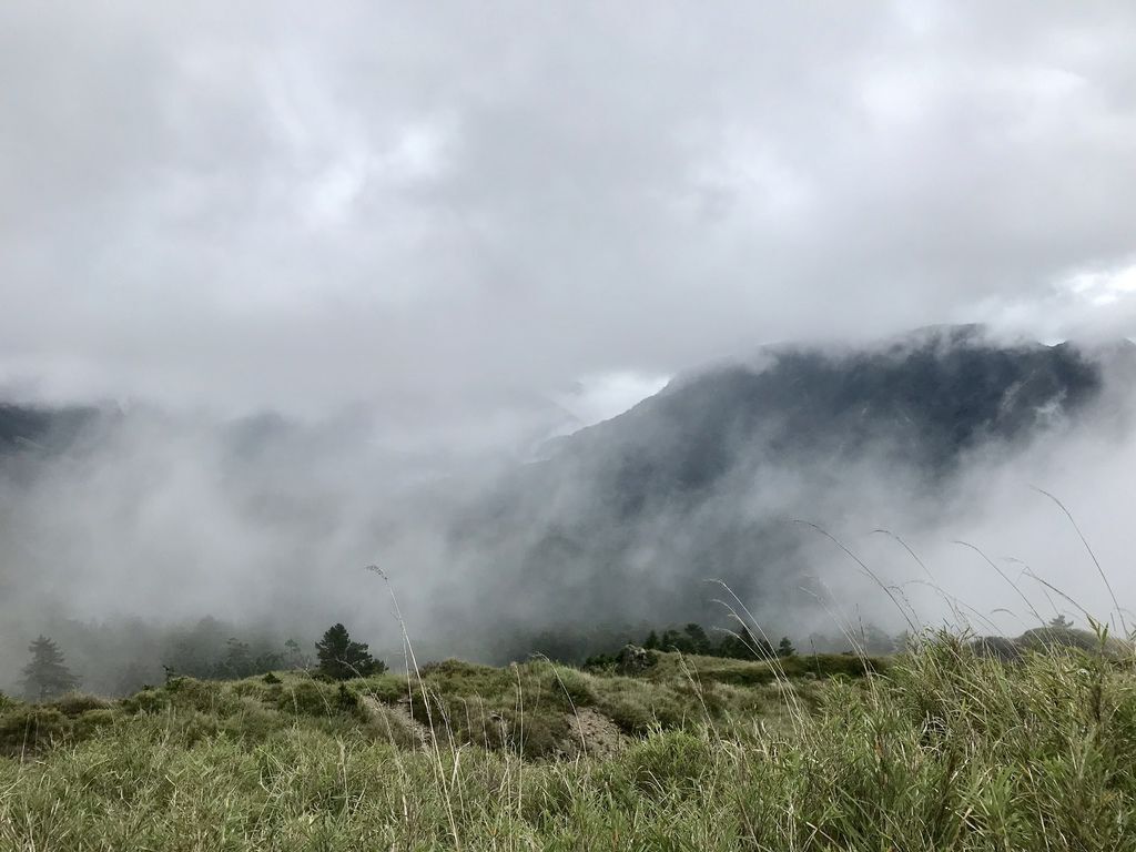 台灣百岳登山-入門的百岳合歡山東峰,讓你漫步在雲海中！【丁小羽登山篇】