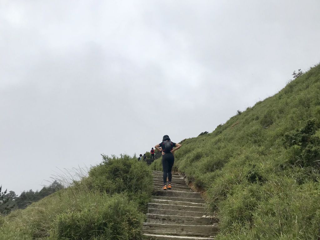 台灣百岳登山-入門的百岳合歡山東峰,讓你漫步在雲海中！【丁小羽登山篇】