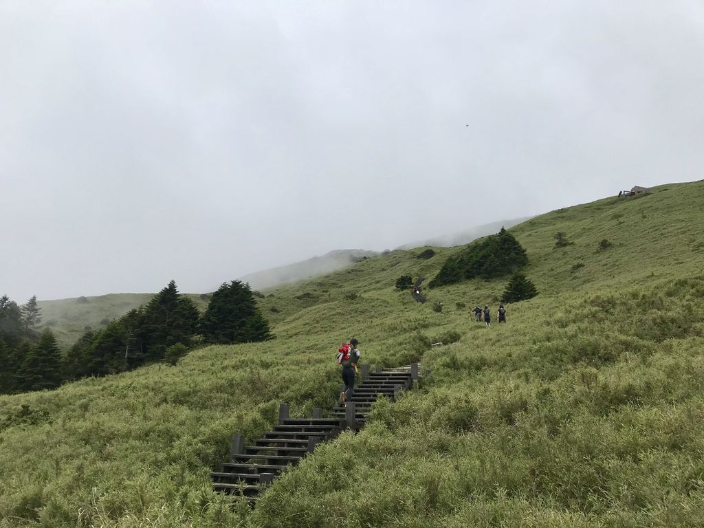 台灣百岳登山-入門的百岳合歡山東峰,讓你漫步在雲海中！【丁小羽登山篇】