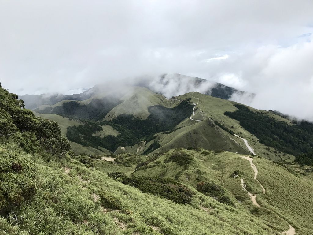 台灣百岳登山-入門的百岳合歡山東峰,讓你漫步在雲海中！【丁小羽登山篇】