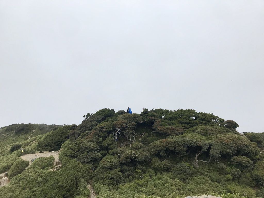 台灣百岳登山-入門的百岳合歡山東峰,讓你漫步在雲海中！【丁小羽登山篇】