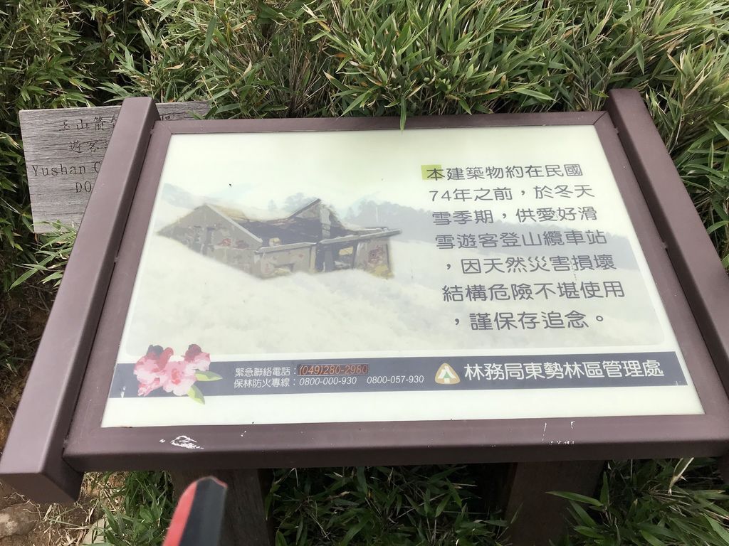 台灣百岳登山-入門的百岳合歡山東峰,讓你漫步在雲海中！【丁小羽登山篇】