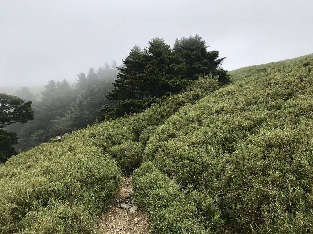 台灣百岳登山-合歡群峰中最簡單的入門百岳-石門山【丁小羽登山篇】 台灣百岳登山-合歡群峰中最簡單的入門百岳-石門山【丁小羽登山篇】
