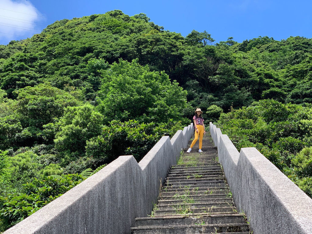 新北登山-瑞芳景點-探訪大粗坑古道及貓咪天堂-猴硐貓村