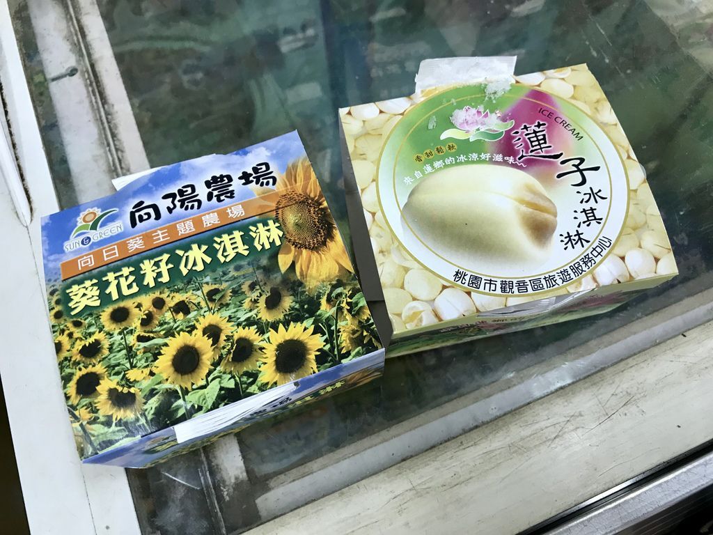 桃園景點-2020向日葵花季在向陽農場漫步在向日葵花海中