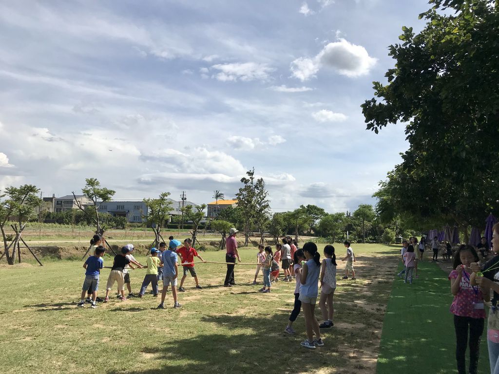 桃園景點-2020向日葵花季在向陽農場漫步在向日葵花海中