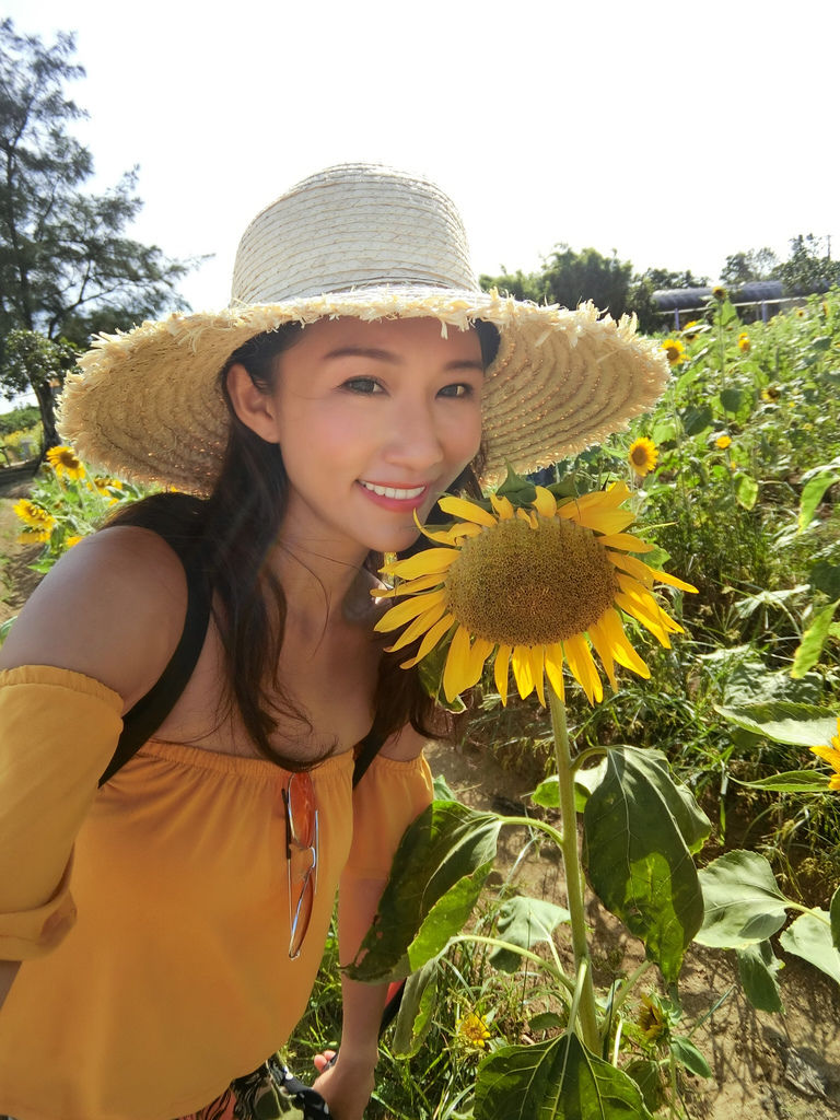 桃園景點-2020向日葵花季在向陽農場漫步在向日葵花海中