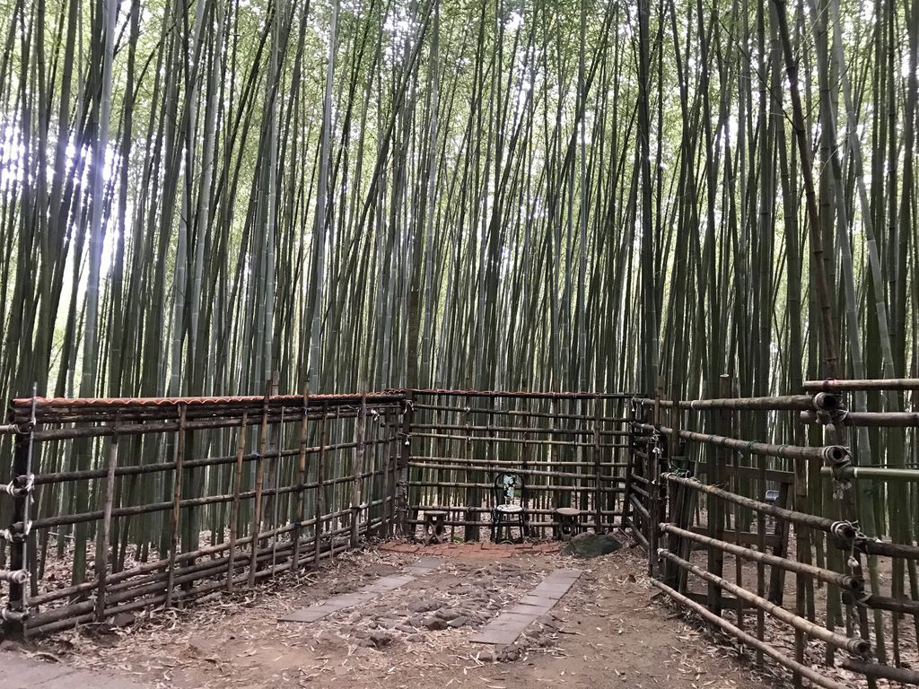 苗栗景點-泰安烏嘎彥竹林-台灣版的京都嵐山竹林小徑【丁小羽旅遊篇】