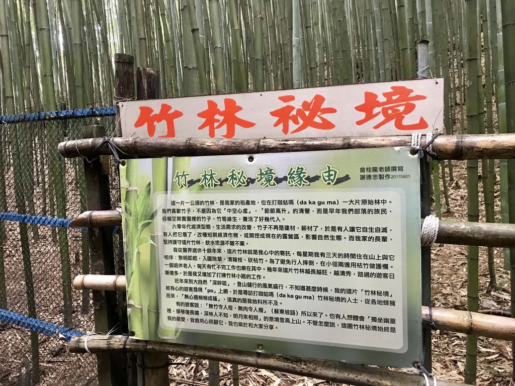 苗栗景點-泰安烏嘎彥竹林-台灣版的京都嵐山竹林小徑【丁小羽旅遊篇】