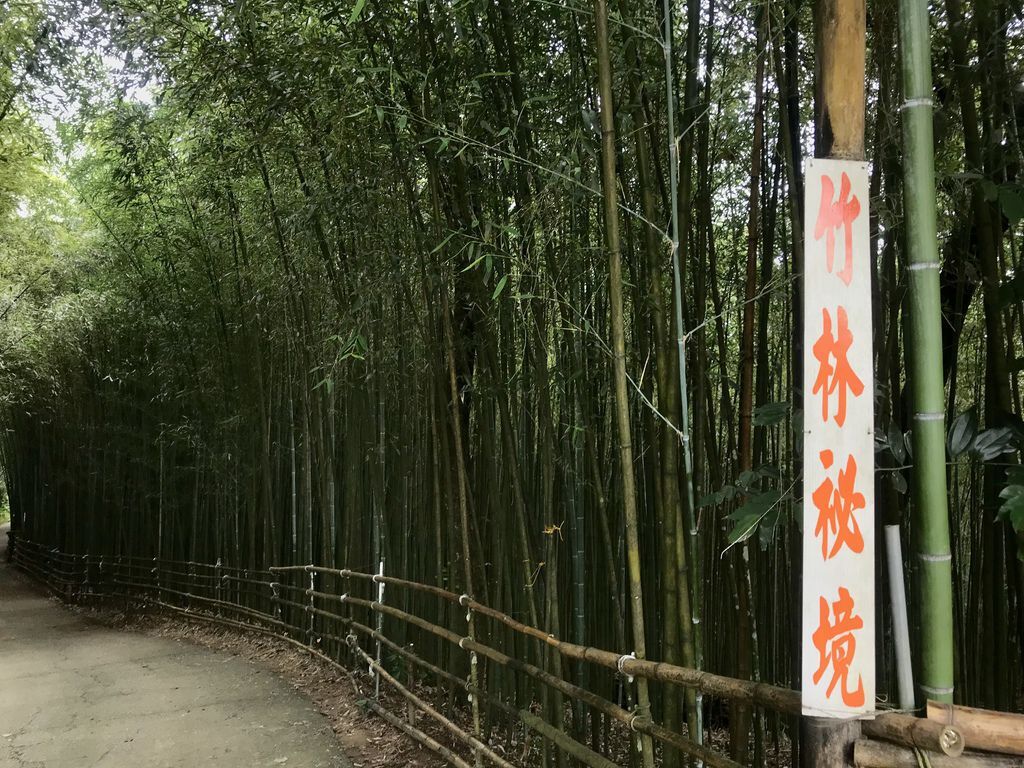 苗栗景點-泰安烏嘎彥竹林-台灣版的京都嵐山竹林小徑【丁小羽旅遊篇】