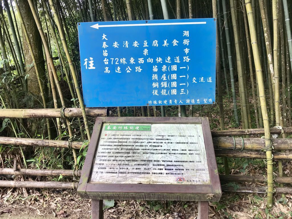 苗栗景點-泰安烏嘎彥竹林-台灣版的京都嵐山竹林小徑【丁小羽旅遊篇】