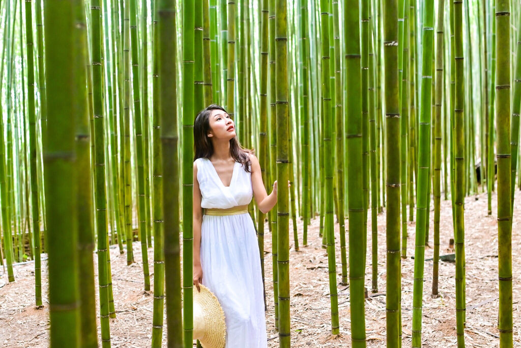 苗栗景點-泰安烏嘎彥竹林-台灣版的京都嵐山竹林小徑【丁小羽旅遊篇】