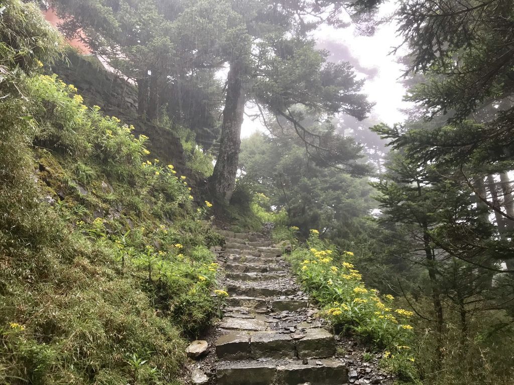 台灣百岳-五星級的排雲山莊，玉山主峰的攻頂前哨站！