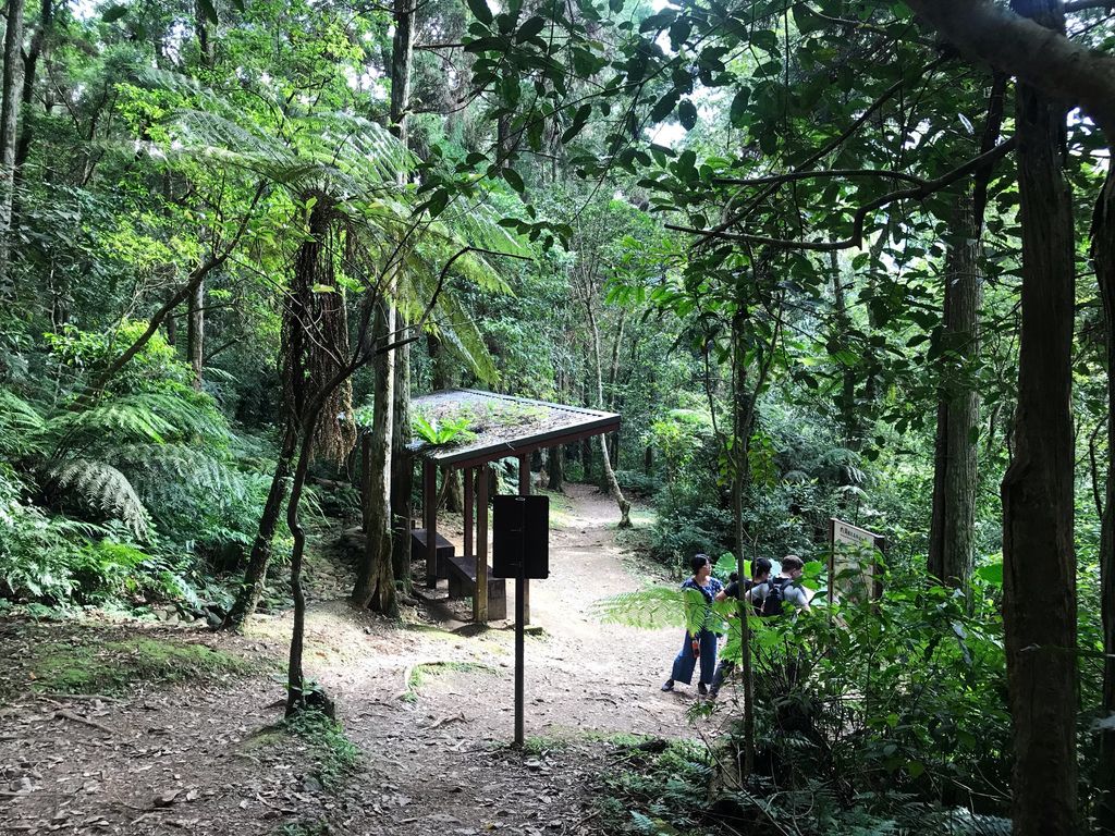 烏來景點-內洞國家森林遊樂區，漫步在森林中，欣賞內洞瀑布【丁小羽旅遊篇】