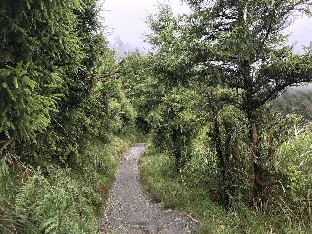 台灣百岳-台灣第一高峰-探訪玉山主峰!欣賞玉山的美【丁小羽登山篇】 台灣百岳-台灣第一高峰-探訪玉山主峰!欣賞玉山的美【丁小羽登山篇】