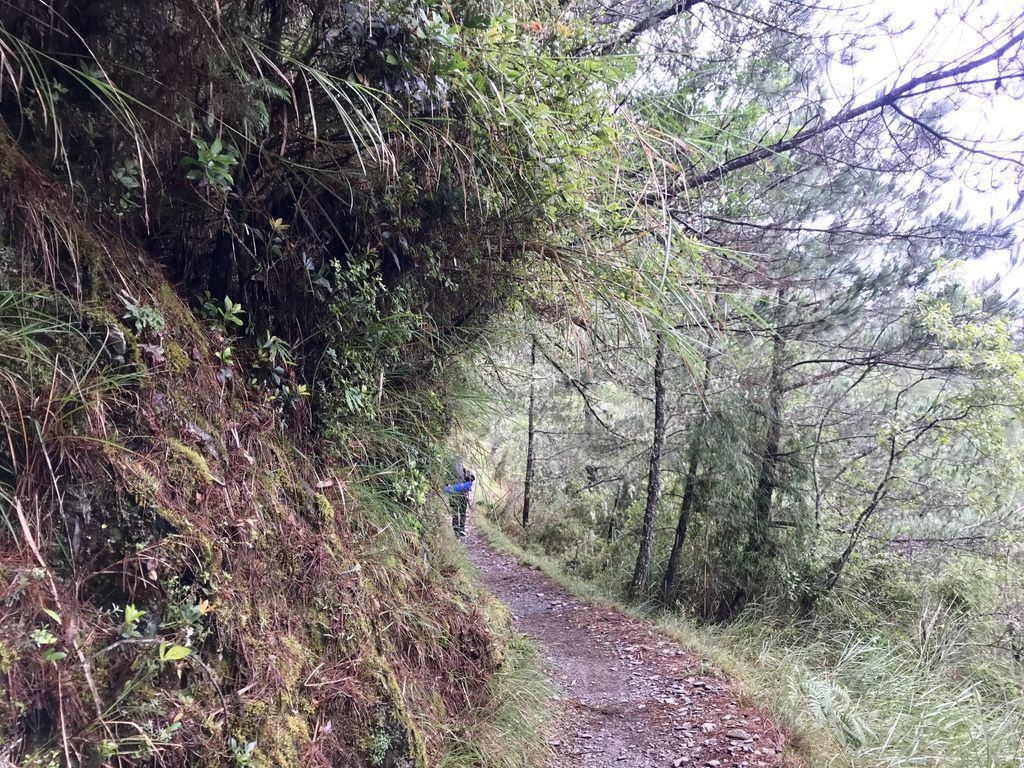 台灣百岳-台灣第一高峰-探訪玉山主峰!欣賞玉山的美【丁小羽登山篇】 台灣百岳-台灣第一高峰-探訪玉山主峰!欣賞玉山的美【丁小羽登山篇】