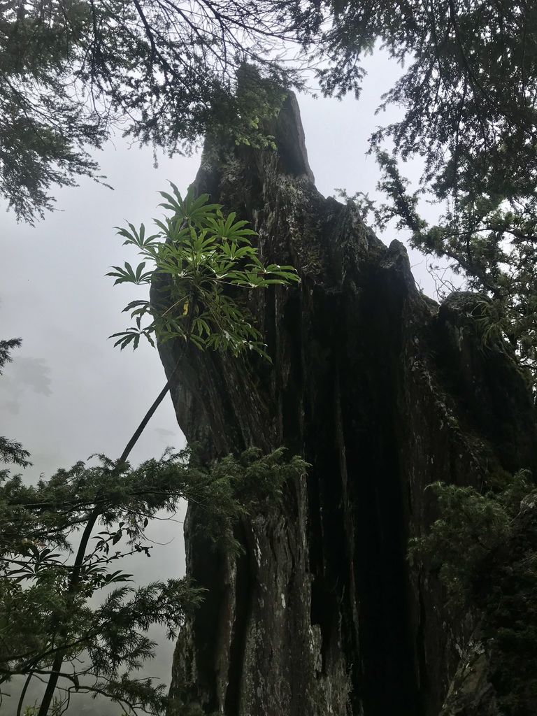台灣百岳-台灣第一高峰-探訪玉山主峰!欣賞玉山的美【丁小羽登山篇】 台灣百岳-台灣第一高峰-探訪玉山主峰!欣賞玉山的美【丁小羽登山篇】