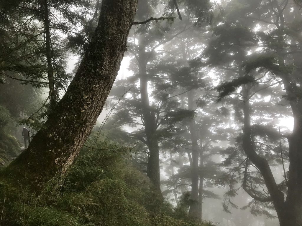 台灣百岳-台灣第一高峰-探訪玉山主峰!欣賞玉山的美【丁小羽登山篇】 台灣百岳-台灣第一高峰-探訪玉山主峰!欣賞玉山的美【丁小羽登山篇】