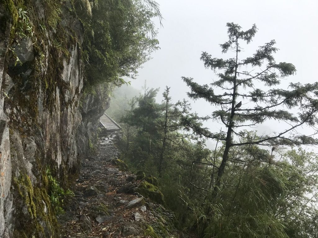 台灣百岳-台灣第一高峰-探訪玉山主峰!欣賞玉山的美【丁小羽登山篇】 台灣百岳-台灣第一高峰-探訪玉山主峰!欣賞玉山的美【丁小羽登山篇】