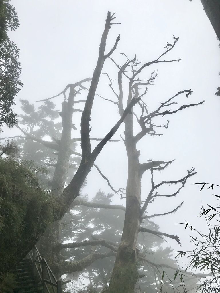 台灣百岳-台灣第一高峰-探訪玉山主峰!欣賞玉山的美【丁小羽登山篇】 台灣百岳-台灣第一高峰-探訪玉山主峰!欣賞玉山的美【丁小羽登山篇】