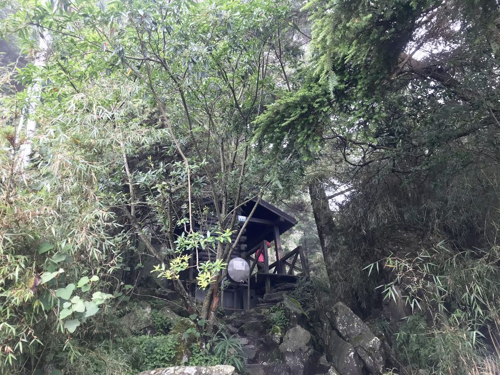 台灣百岳-台灣第一高峰-探訪玉山主峰!欣賞玉山的美【丁小羽登山篇】 台灣百岳-台灣第一高峰-探訪玉山主峰!欣賞玉山的美【丁小羽登山篇】