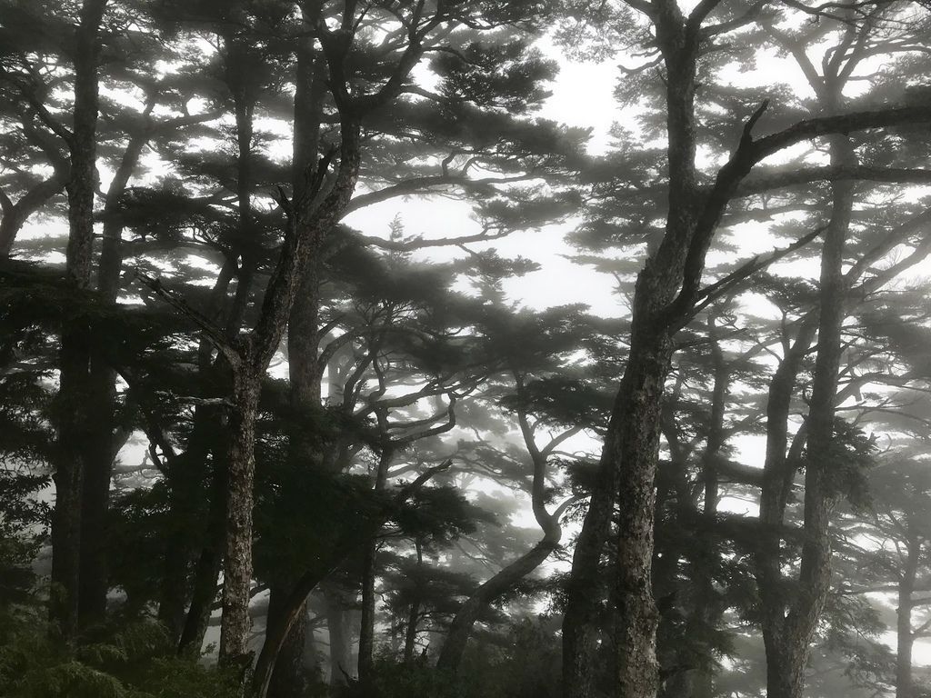 台灣百岳-台灣第一高峰-探訪玉山主峰!欣賞玉山的美【丁小羽登山篇】 台灣百岳-台灣第一高峰-探訪玉山主峰!欣賞玉山的美【丁小羽登山篇】