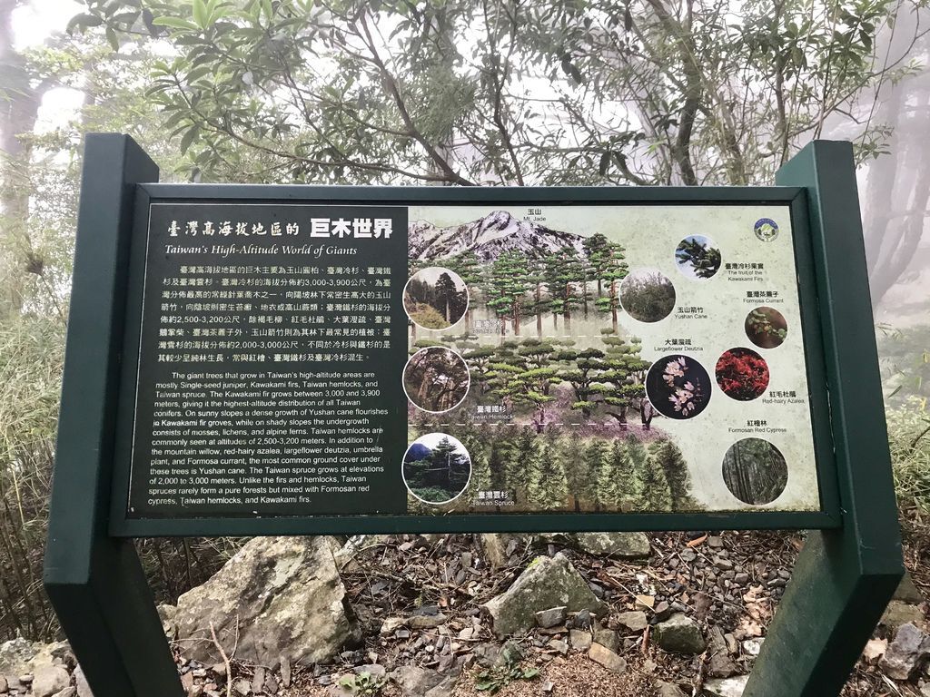 台灣百岳-台灣第一高峰-探訪玉山主峰!欣賞玉山的美【丁小羽登山篇】 台灣百岳-台灣第一高峰-探訪玉山主峰!欣賞玉山的美【丁小羽登山篇】