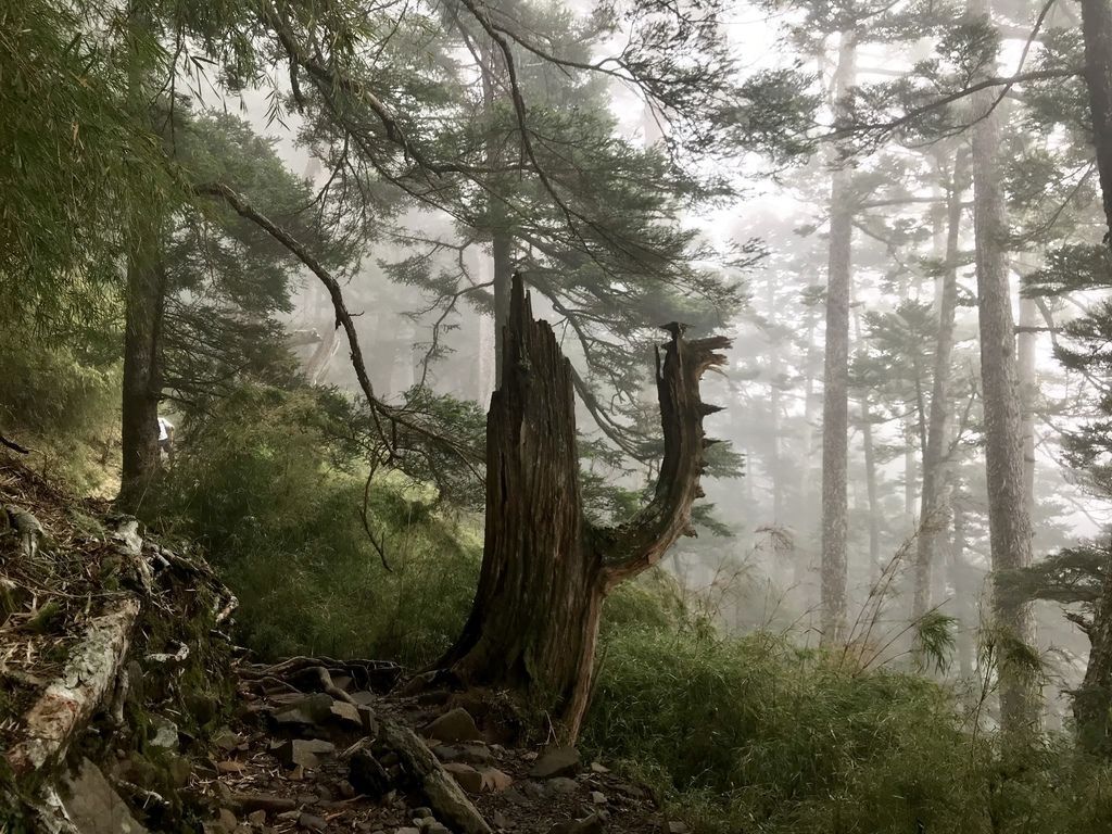 台灣百岳-台灣第一高峰-探訪玉山主峰!欣賞玉山的美【丁小羽登山篇】 台灣百岳-台灣第一高峰-探訪玉山主峰!欣賞玉山的美【丁小羽登山篇】