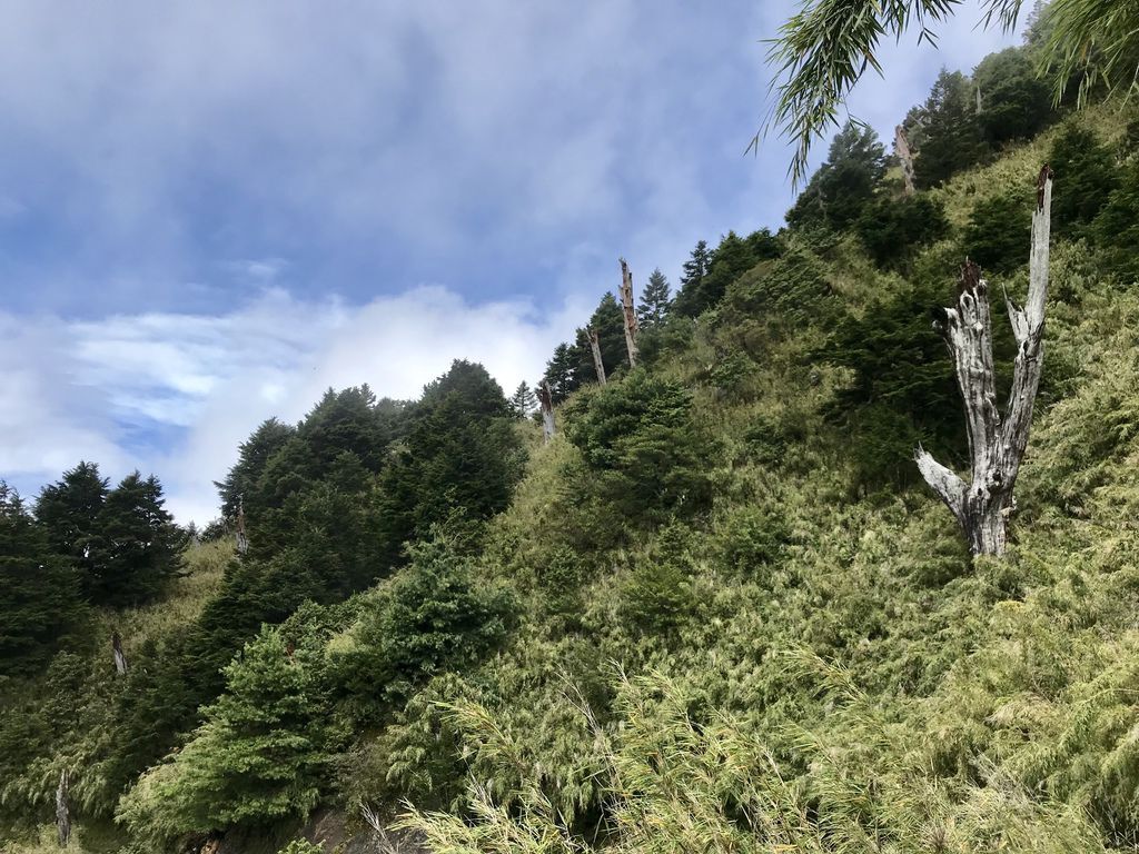 台灣百岳-台灣第一高峰-登上玉山主峰看日出以及如何克服高山症