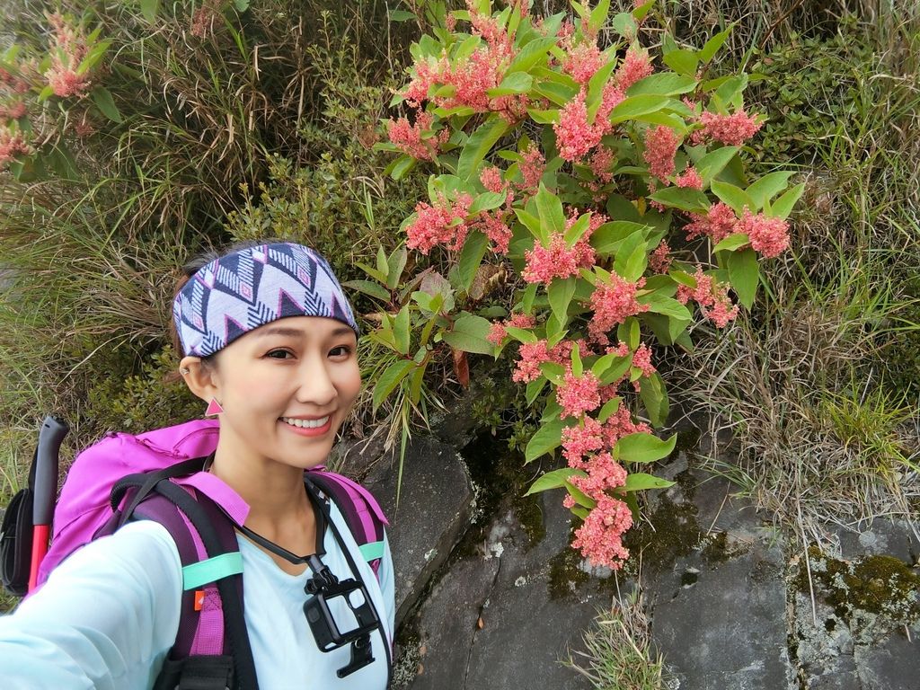 台灣百岳-台灣第一高峰-探訪玉山主峰!欣賞玉山的美【丁小羽登山篇】 台灣百岳-台灣第一高峰-探訪玉山主峰!欣賞玉山的美【丁小羽登山篇】