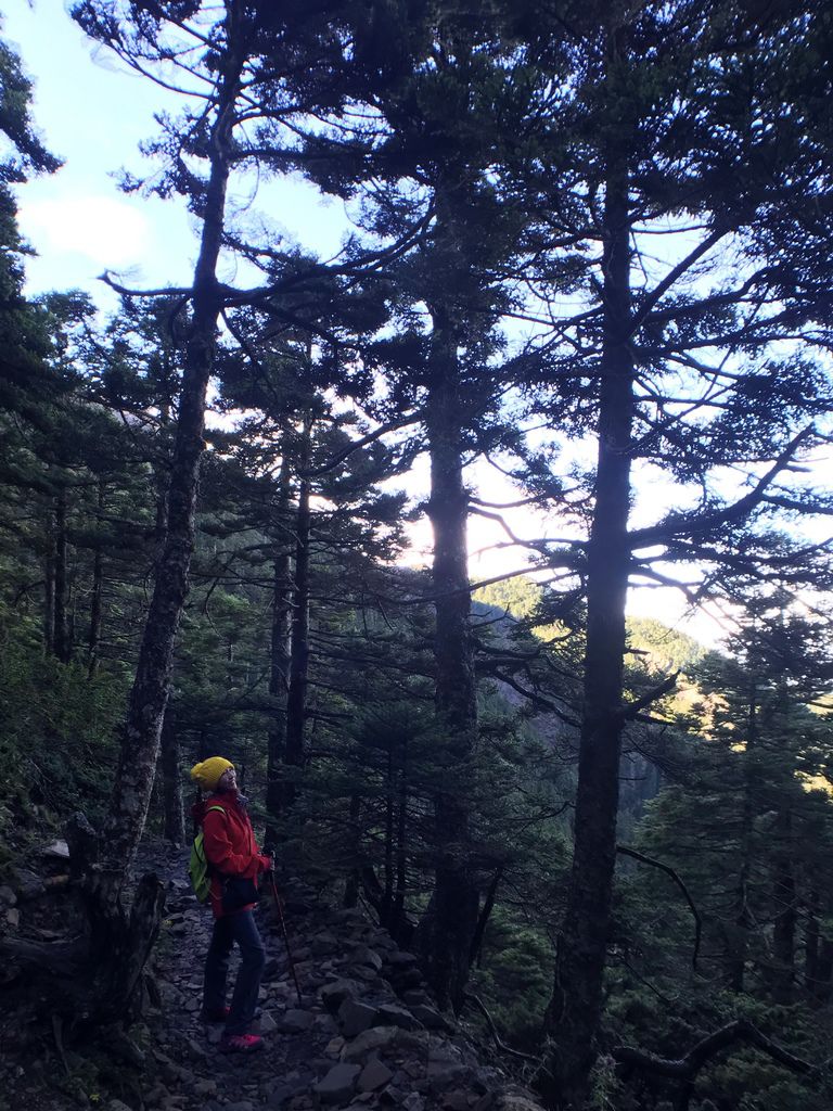 台灣百岳-台灣第一高峰-登上玉山主峰看日出以及如何克服高山症