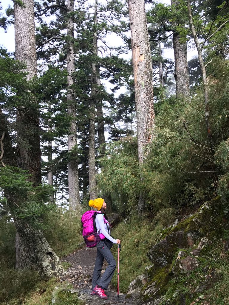 台灣百岳-台灣第一高峰-登上玉山主峰看日出以及如何克服高山症