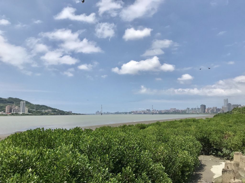 淡水一日遊-淡水河遊艇自駕初體驗之我要當船長