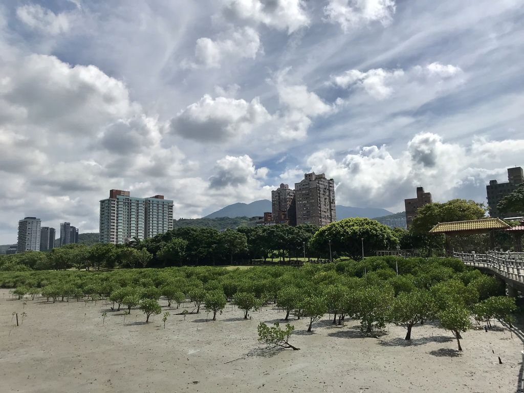 淡水一日遊-淡水河遊艇自駕初體驗之我要當船長