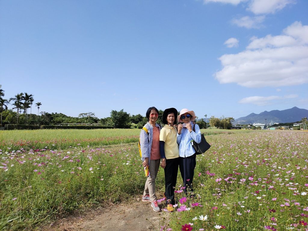 淡水景點-來趟淡水賞花輕旅行，關渡花海秘境熱情綻放