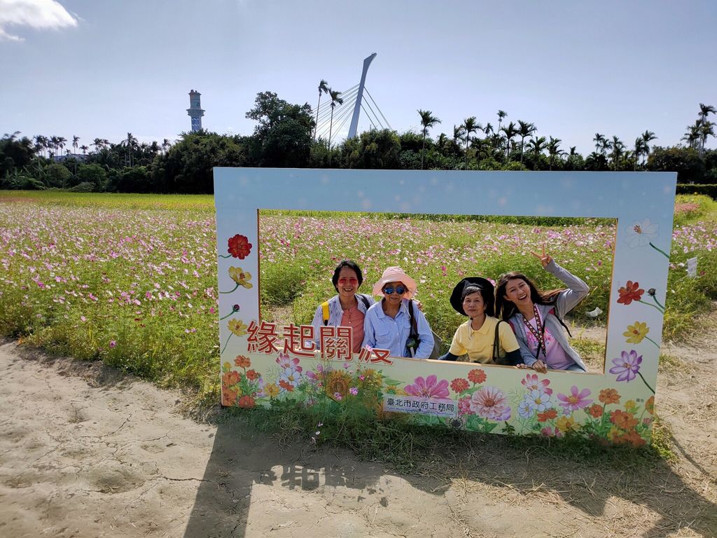 淡水景點-來趟淡水賞花輕旅行，關渡花海秘境熱情綻放