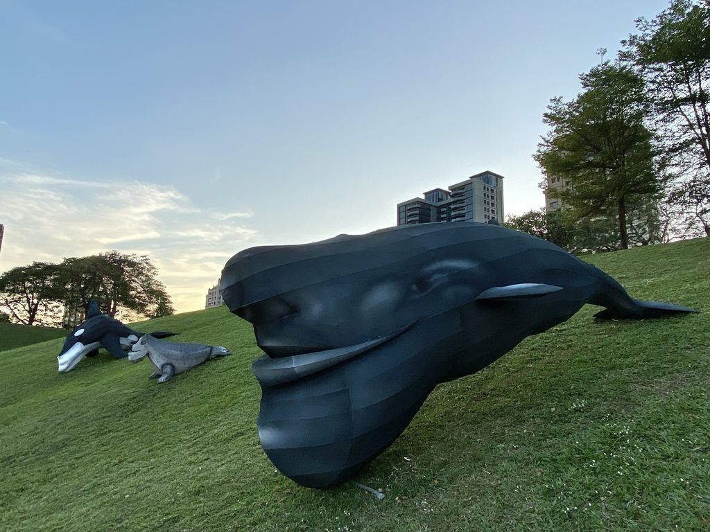 台灣燈會副展區-台中文心森林公園目擊超可愛戽斗星球、熱帶水果鳥(台中燈會)