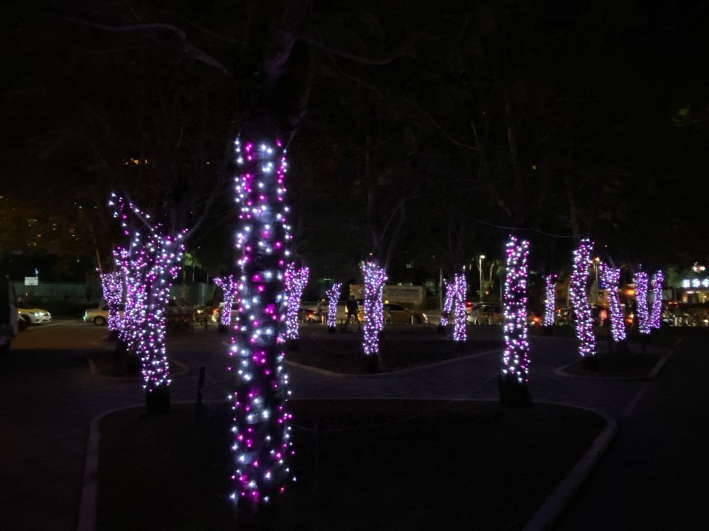 台灣燈會副展區-台中文心森林公園目擊超可愛戽斗星球、熱帶水果鳥(台中燈會)