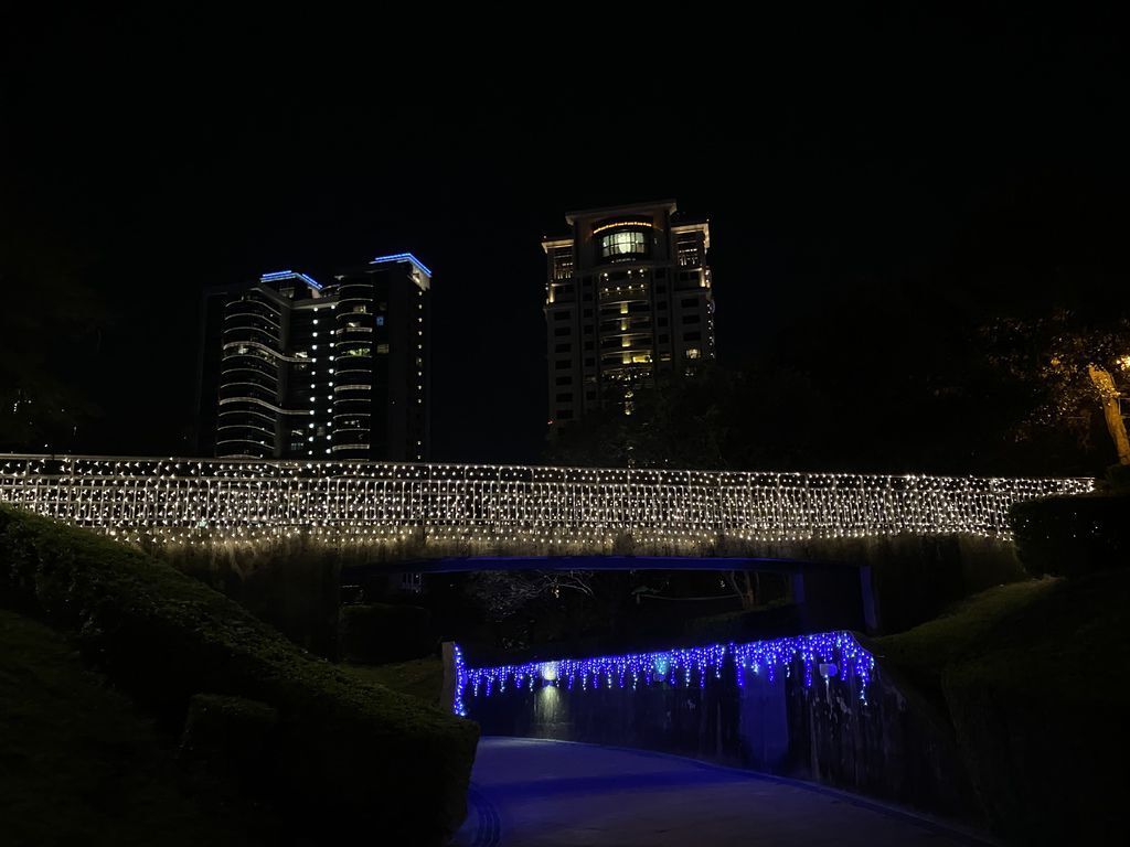 台灣燈會副展區-台中文心森林公園目擊超可愛戽斗星球、熱帶水果鳥(台中燈會)