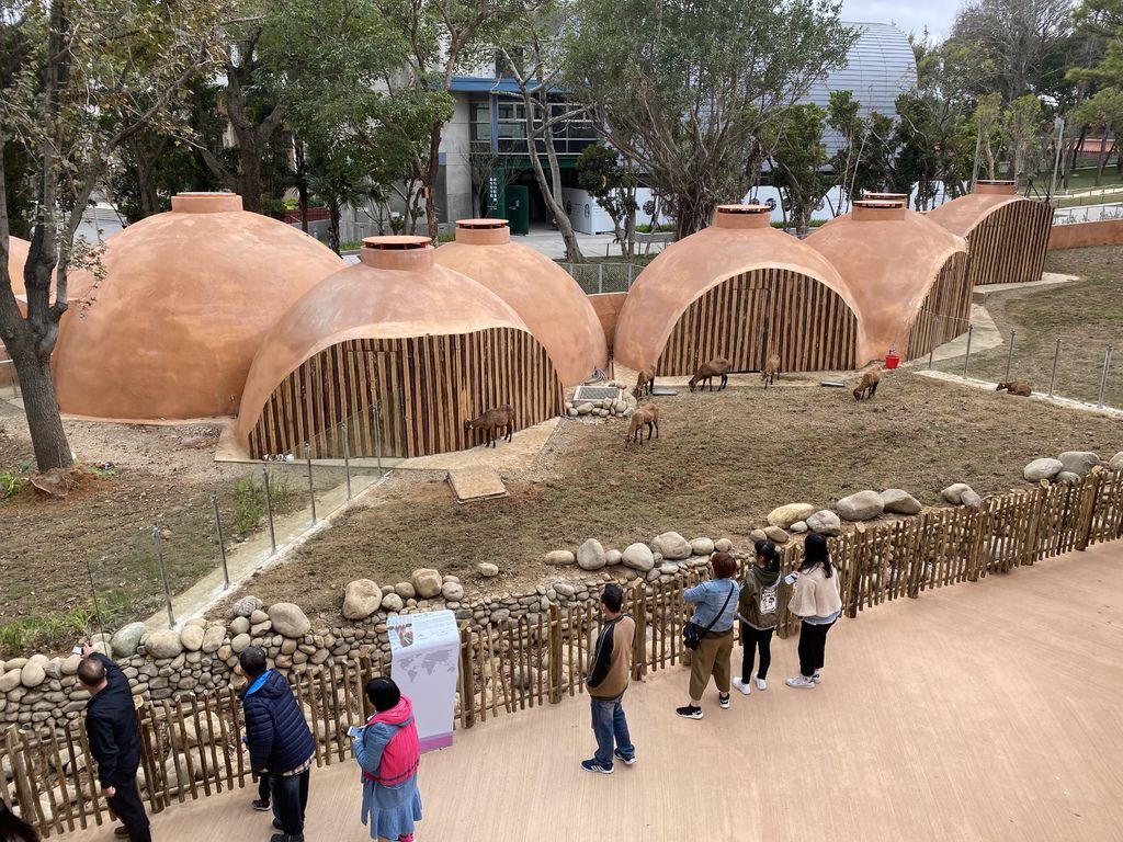 最老的動物園重生！新竹市立動物園，適合全家大小遊玩的新竹景點！