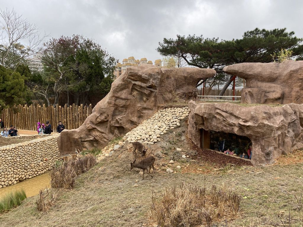 最老的動物園重生！新竹市立動物園，適合全家大小遊玩的新竹景點！