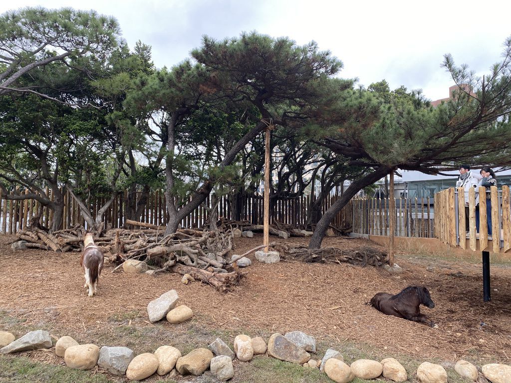 最老的動物園重生！新竹市立動物園，適合全家大小遊玩的新竹景點！