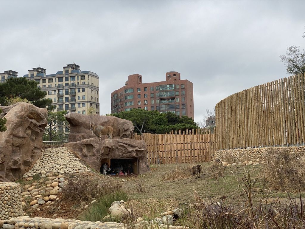 最老的動物園重生！新竹市立動物園，適合全家大小遊玩的新竹景點！