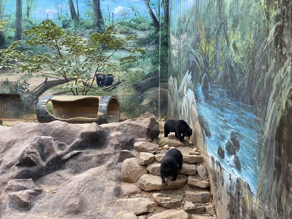 最老的動物園重生！新竹市立動物園，適合全家大小遊玩的新竹景點！